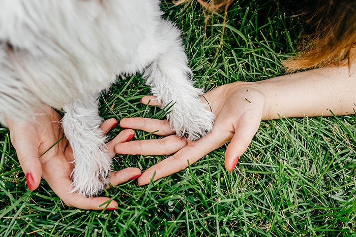 Will you help us be kinder to the planet?