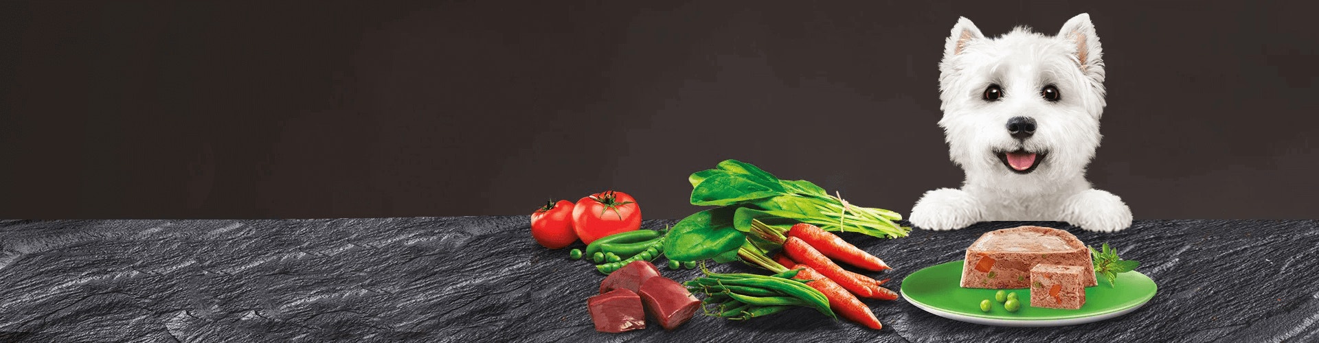 Cesar Dog Landing Image