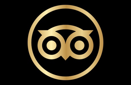Tripadvisor icon