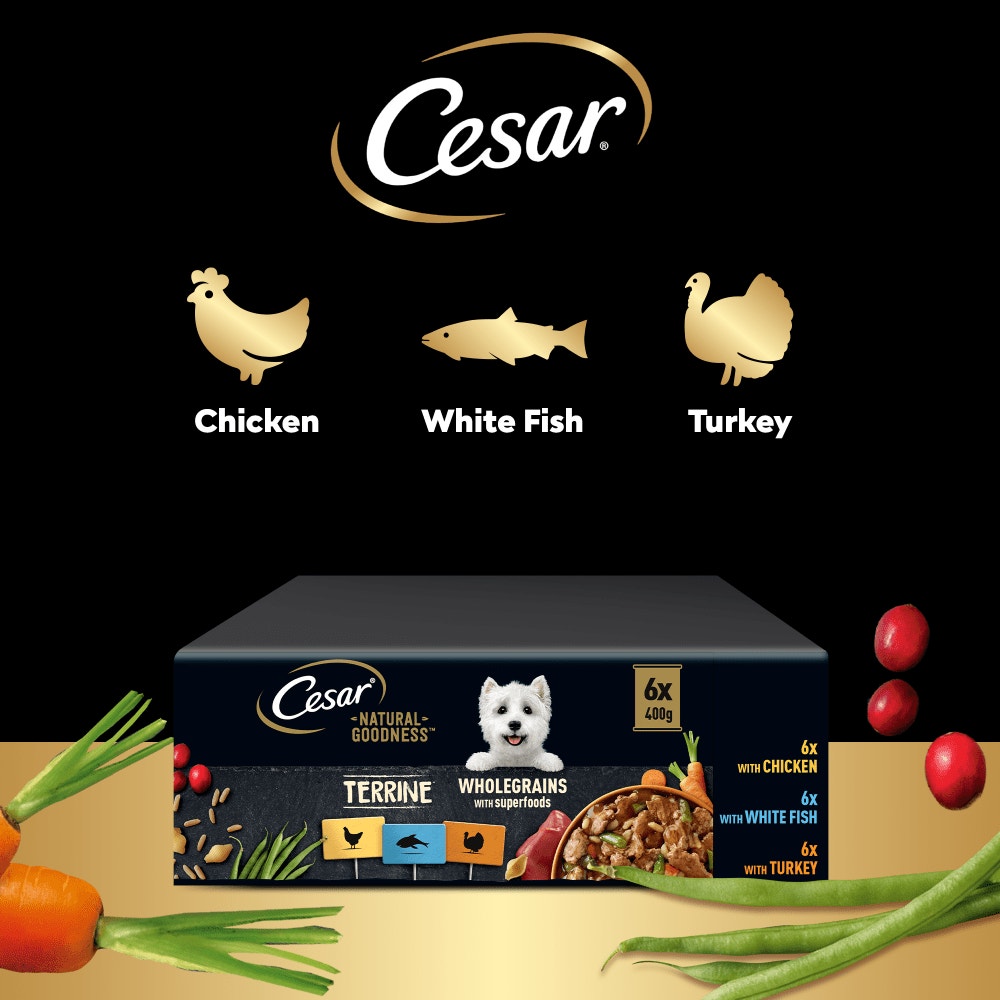 CESAR® NATURAL GOODNESS™ Wholegrain Casserole Wet Dog Food Tins - 4