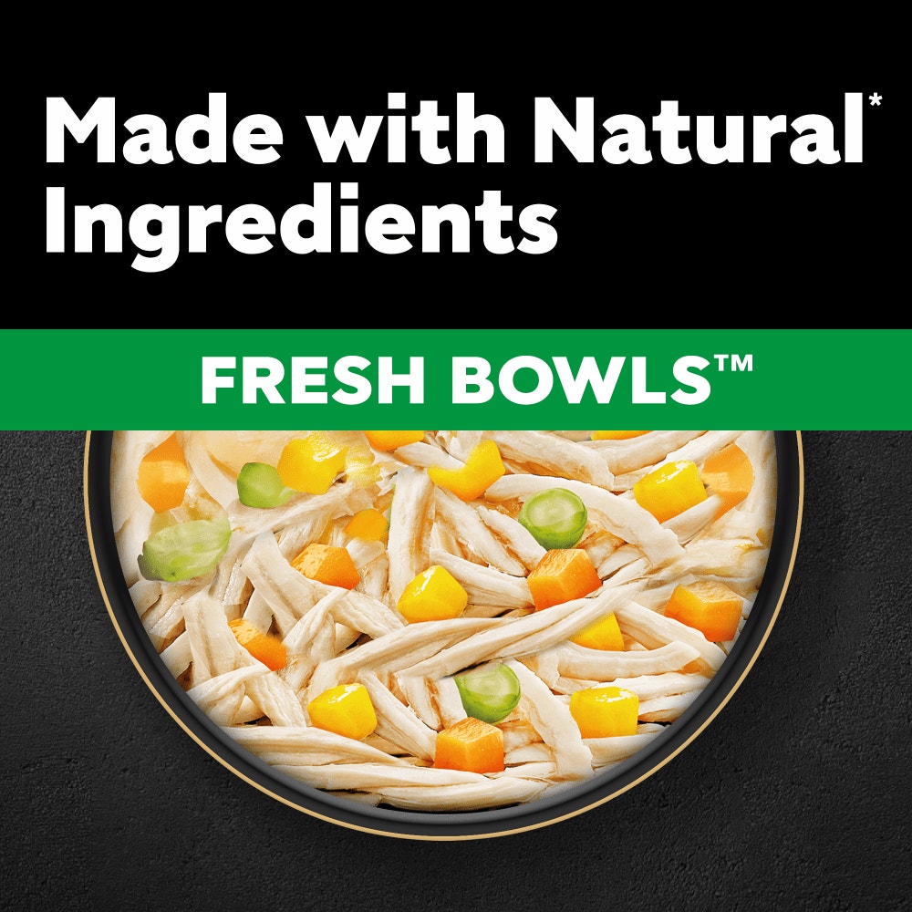 CESAR® Fresh Bowl Adult Dog with Chicken,Carrots,Beans,Pumpkin in Gravy 85g - 2