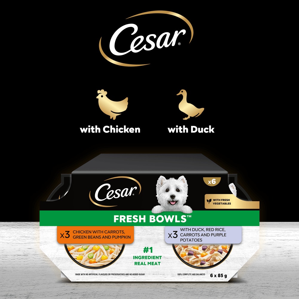 CESAR® Fresh Bowl Adult Dog Chicken & Duck Taster Multipack 6x85g - 4