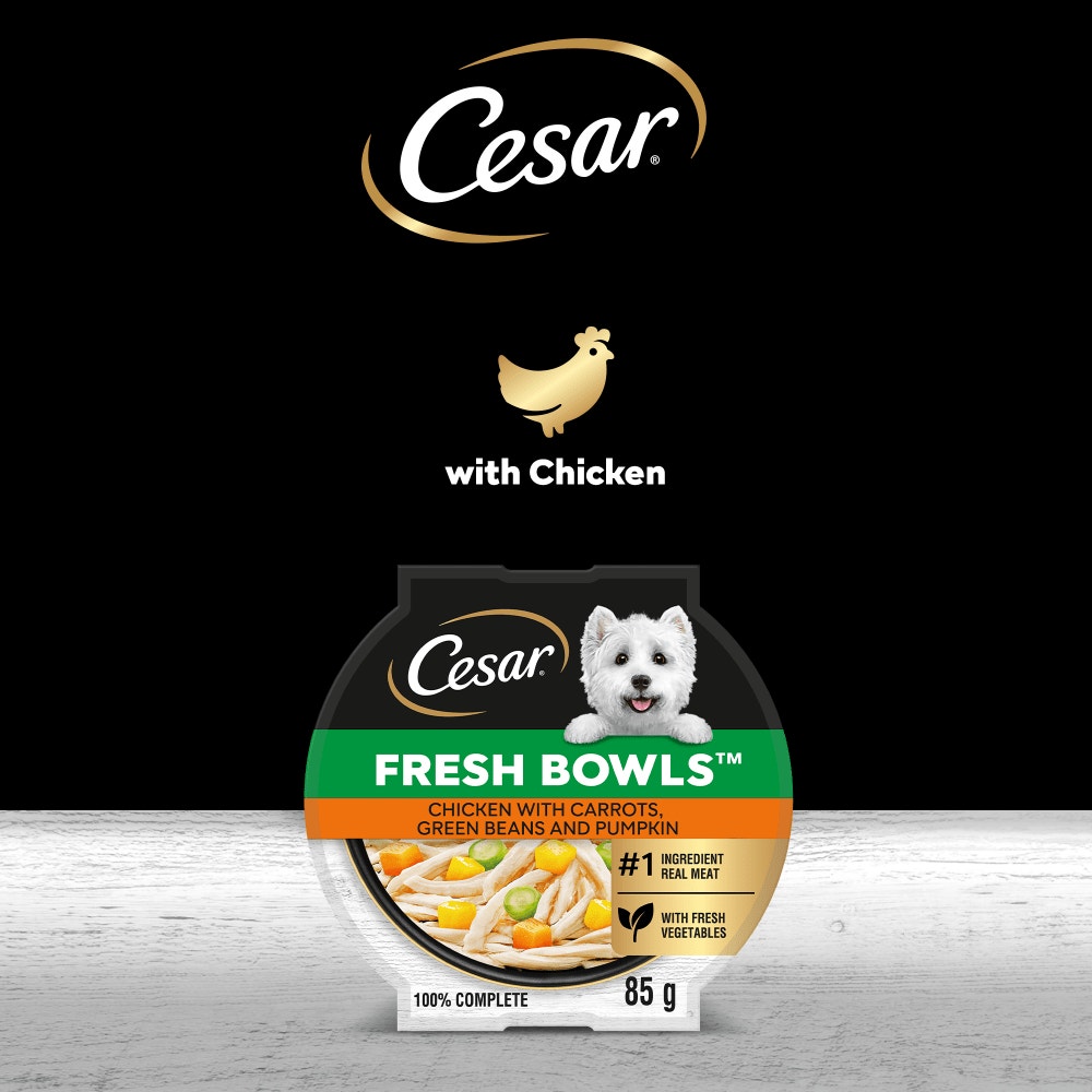 CESAR® Fresh Bowl Adult Dog with Chicken,Carrots,Beans,Pumpkin in Gravy 85g - 4