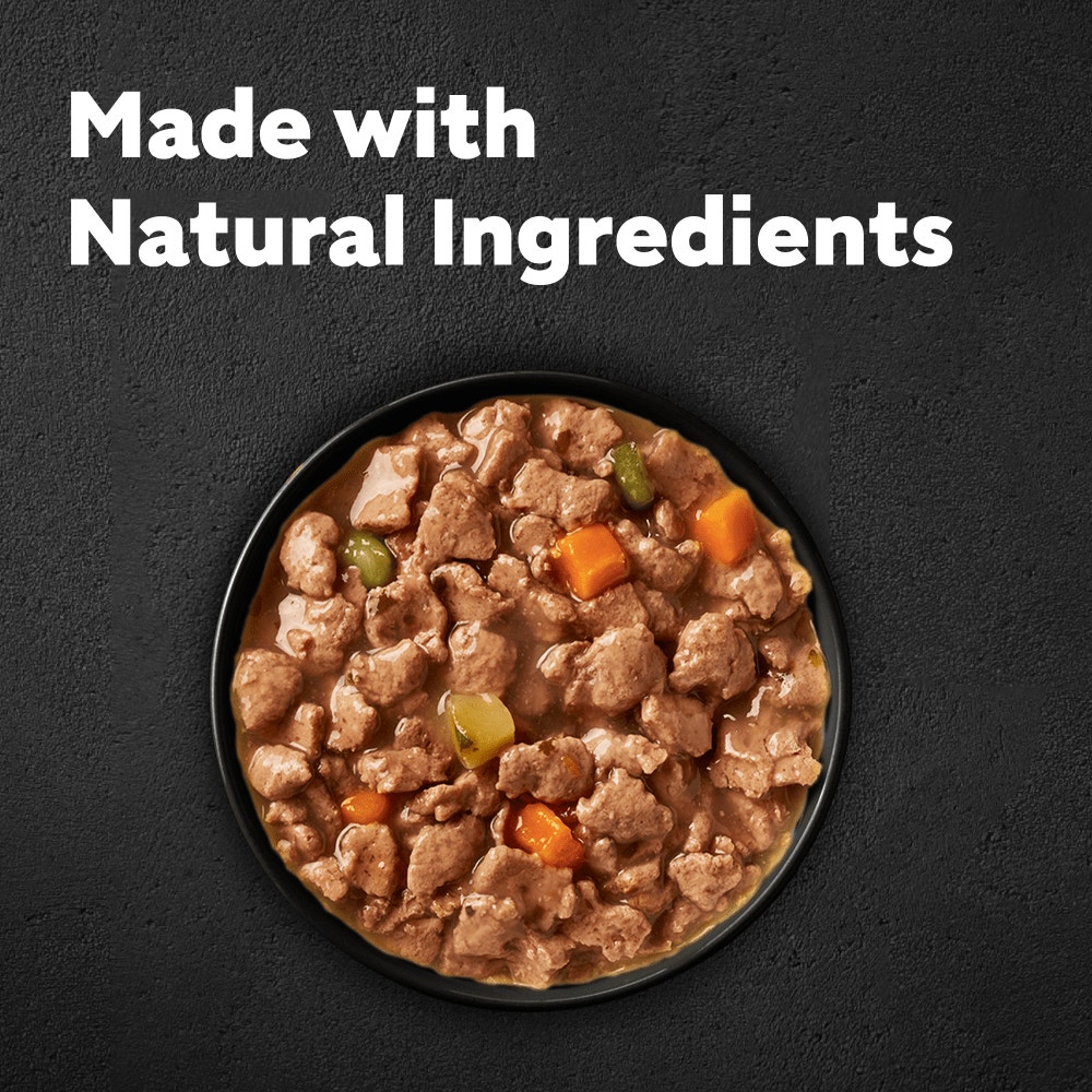 CESAR® NATURAL GOODNESS™ Grain Free Dog Food Casserole with Chicken 100g Tray - 2