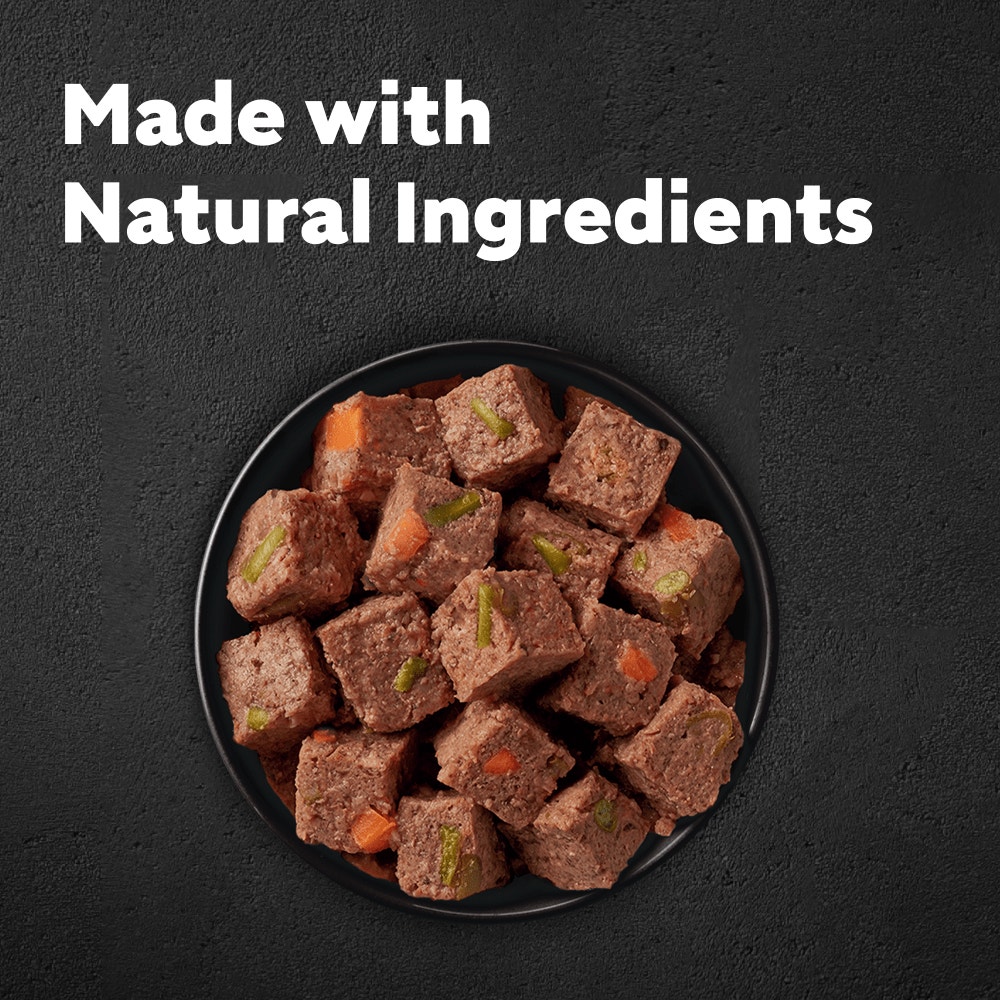 CESAR® NATURAL GOODNESS™ Grain Free Wet Dog Food in Terrine - 2