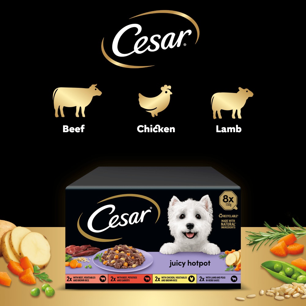 CESAR® Juicy Hotpot Adult Wet Dog Food Trays Mixed in Gravy 8 x 150g - 4