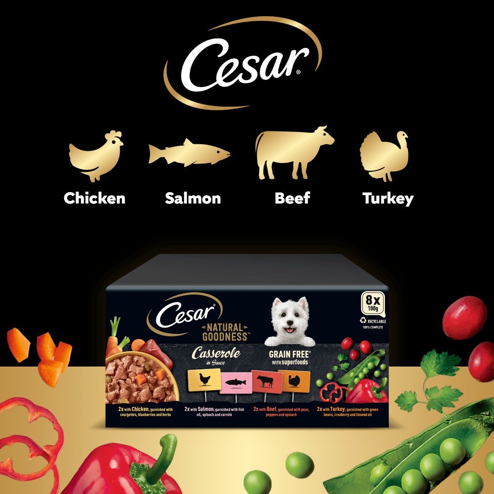 CESAR® NATURAL GOODNESS™ Grain Free Wet Dog Food in Casserole - 4