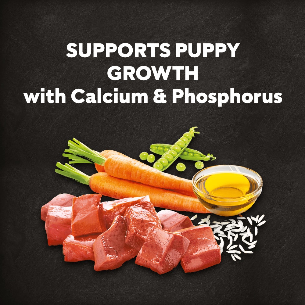 CESAR Junior Puppy Dry Dog Food with Fresh Chicken Rice & Vegetables 1.4Kg - 4