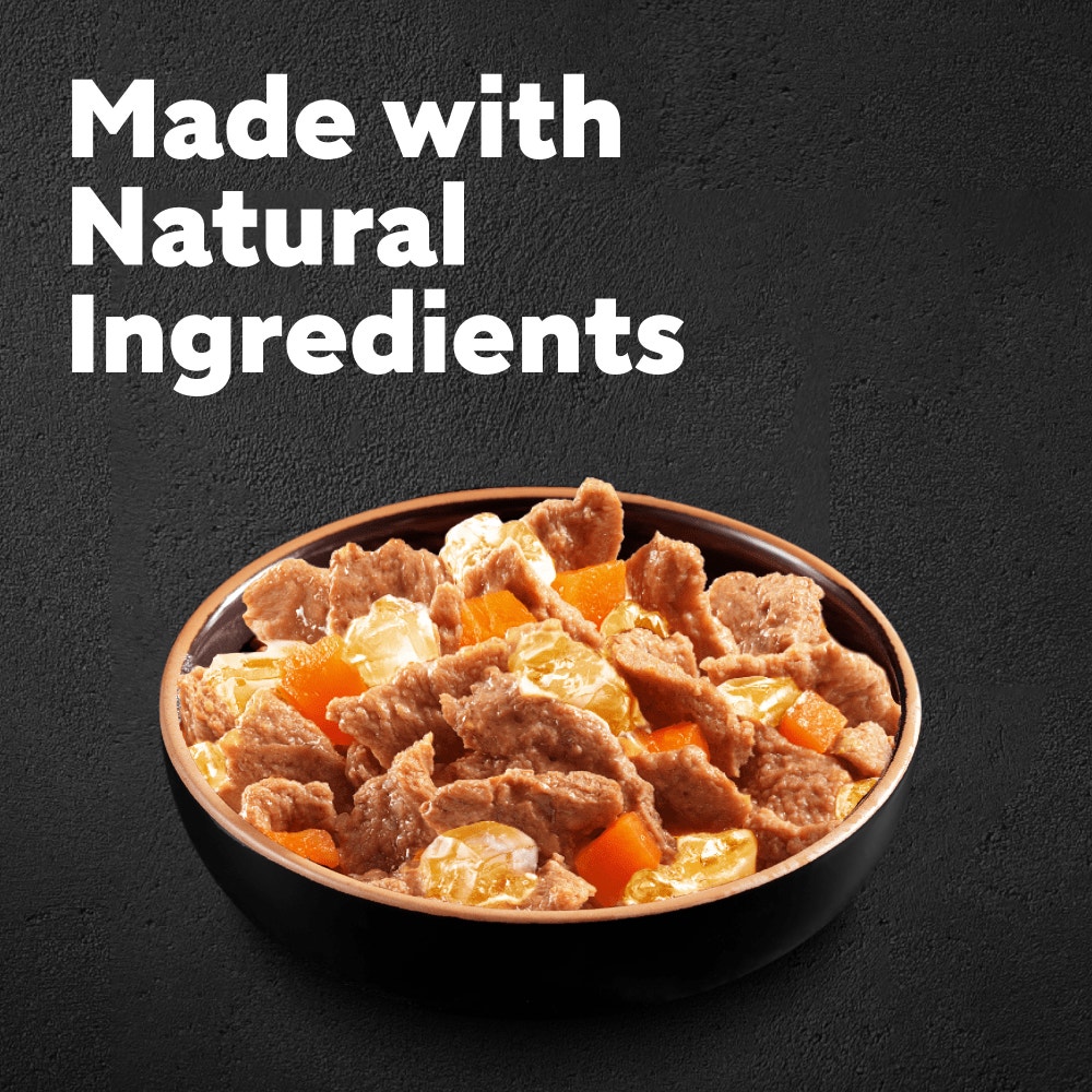 CESAR® Deliciously Fresh Dog Food Pouches Mixed Selection in Jelly 12 x 100g - 2