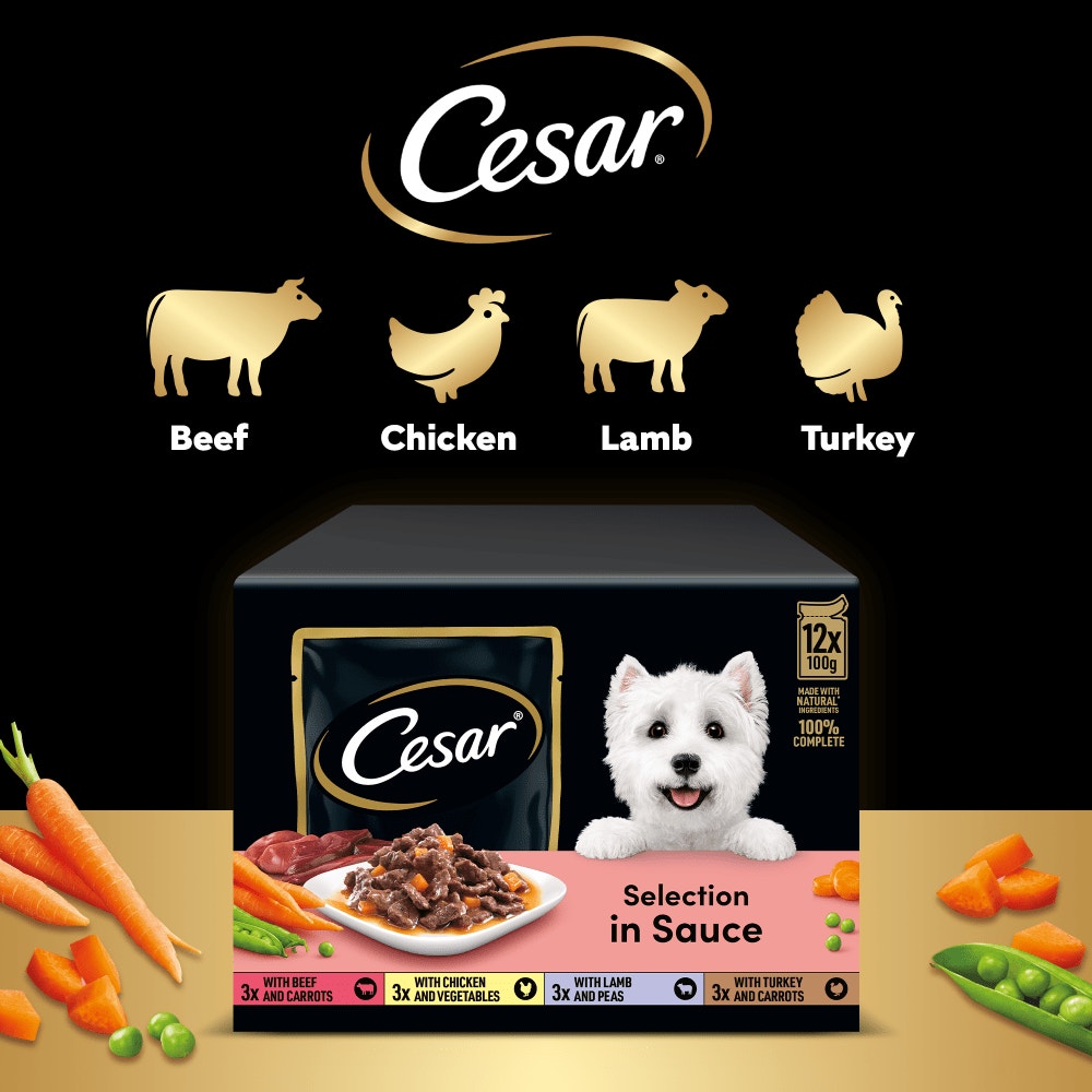 CESAR® Deliciously Fresh Dog Food Pouches Mixed Selection in Sauce - 4
