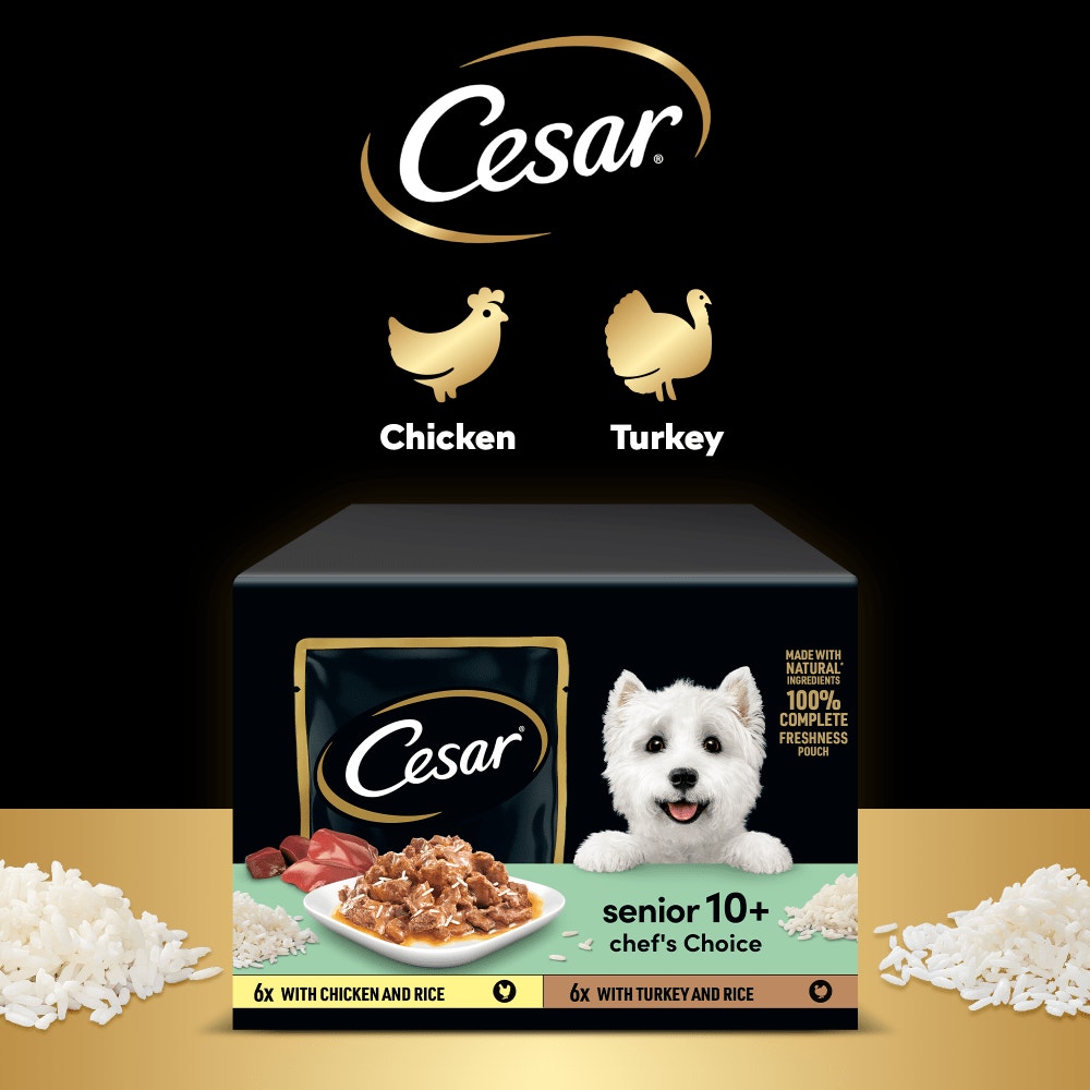 CESAR® Senior Wet Dog Food Pouches Mixed Selection in Sauce 12 x 100g - 4
