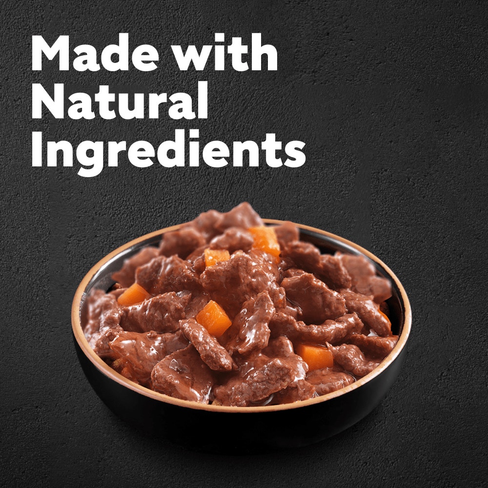 CESAR® Deliciously Fresh Dog Food Pouches Mixed Selection in Sauce - 2