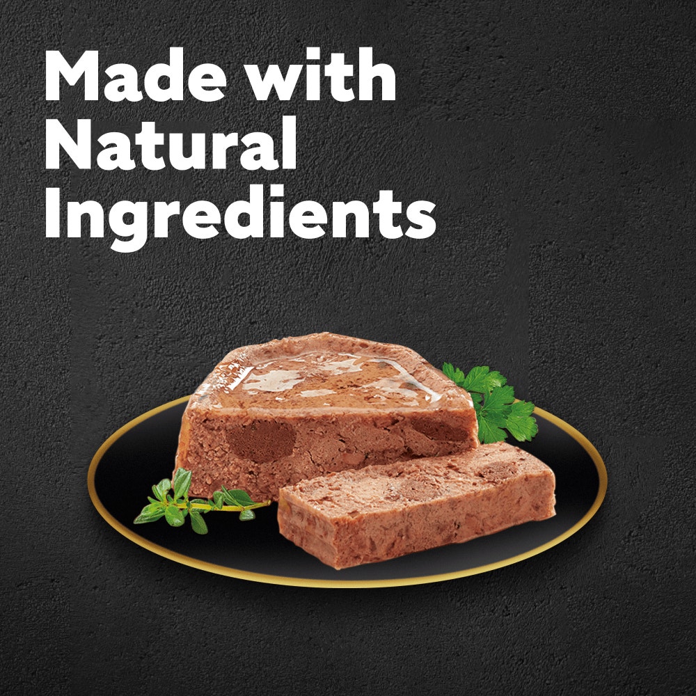 CESAR® Classic Terrine Variety Pack, Tray - 2