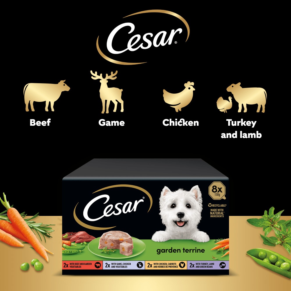CESAR® Garden Terrine Dog Food Tray Mixed in Loaf 8 x 150g - 4