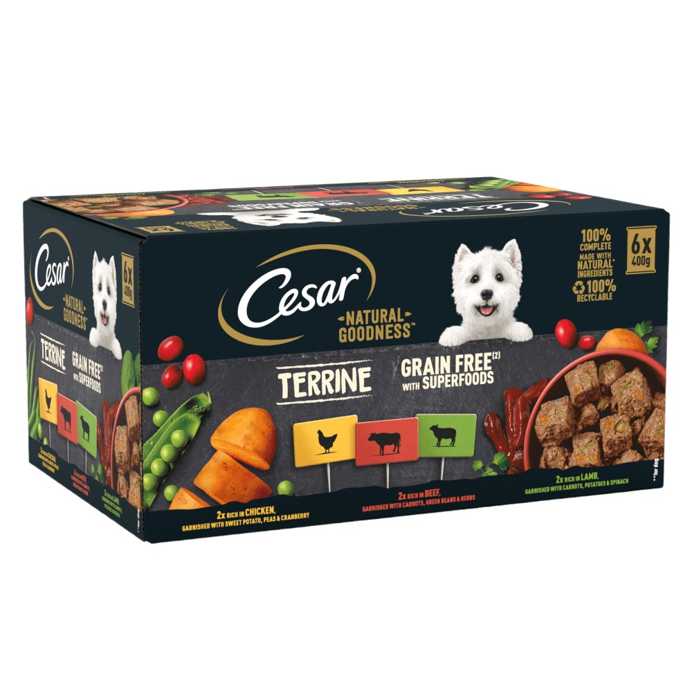 CESAR® NATURAL GOODNESS™ Grain Free Wet Dog Food Tins in Loaf - 1