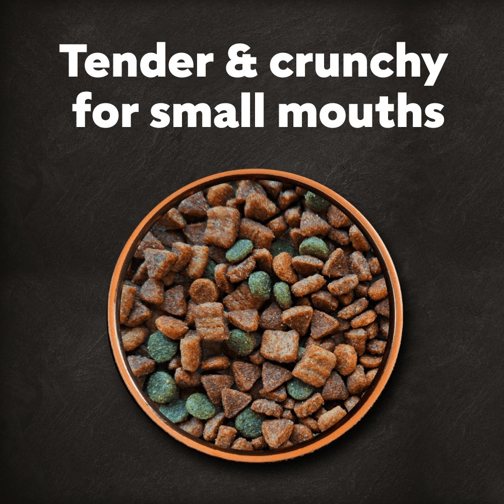 Cesar Dog Complete Dry with Chicken, Salmon and Vegetables 7kg, 1.4kg - 2