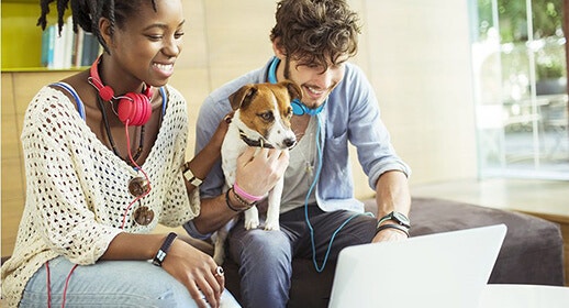 Top tips for travelling with your dog