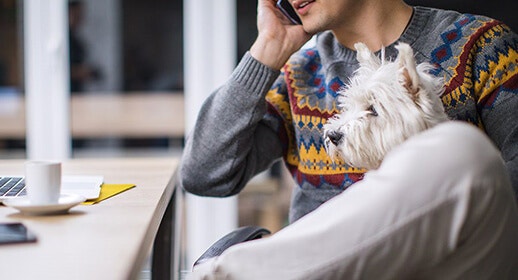 How to Introduce Dogs and Help Them Socialise with New People
